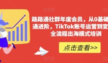 路路通社群年度会员,从0基础到精通进阶,TikTok账号运营到变现的全流程出海模式培训