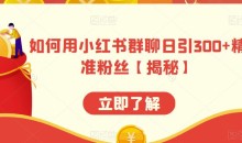 如何用小红书群聊日引300+精准粉丝【揭秘】