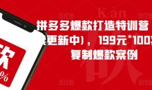 拼多多爆款打造特训营(持续更新中),199元*100套可复制爆款案例