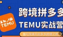 大鹏出海·拼多多跨境temu运营指导,开店注册+选品+核价上架,日出千单实战课