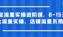 淘宝流量实操进阶课,8-15天放大流量实操,店铺流量不用愁