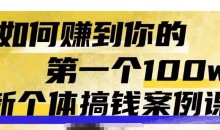 群响新个体钱搞案例库,可直以接抄作业的新体个搞钱案例库,如何赚到你的第一个100w