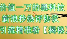 价值一万的黑科技新浪秒热评协议引流精准粉【仅揭秘】