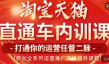 天问电商·2023淘宝天猫直通车内训课,零基础学起直通车运营实操课程