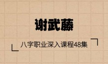 谢武藤-八字职业深入课程48集+讲义