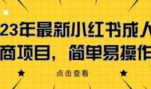 2023年最新小红书成人电商项目,简单易操作【详细教程】