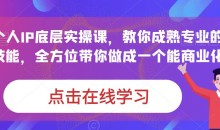蟹老板·打爆个人IP底层实操课,教你成熟专业的打造IP技能,全方位带你做成一个能商业化IP