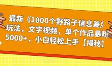 最新《1000个野路子信息差》玩法,文字视频,单个作品暴粉5000+,小白轻松上手【揭秘】