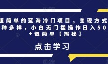 超简单的蓝海冷门项目,变现方式多种多样,小白无门槛操作日入500+很简单【揭秘】