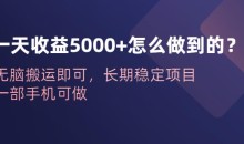 一天收益5000+怎么做到的?无脑搬运即可,长期稳定项目,一部手机可做【揭秘】