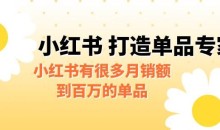 某公众号付费文章《小红书打造单品专家》小红书有很多月销额到百万的单品