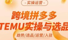 伍跃·跨境拼多多TEMU实操与选品,趋势/选品/运营/入住(27节完整)
