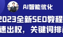 2023最新网站AI智能优化SEO教程,简单快速出权重,AI自动写文章+AI绘画配图