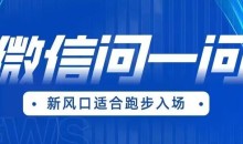 全网首发微信问一问新风口变现项目(价值1999元)