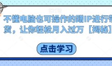 不懂电脑也可操作的蹭IP进行带货,让你轻松月入过万