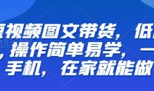 短视频图文带货,低门槛,操作简单易学,一部手机,在家就能做