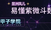 神棍局2021年新课甲子学院易懂紫微斗数