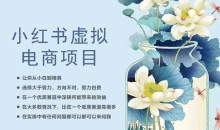 小红书虚拟电商从0到1,让你从小白到精英(20节实操课程)