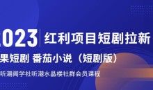2023红利项目短剧拉新,听潮阁学社月入过万红果短剧番茄小说CPA拉新项目教程