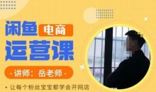 岳老师·闲鱼电商运营课,让每个粉丝宝宝都学会开网店