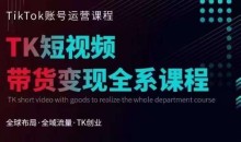 Tiktok运营线上训练营,引流爆单,急速涨粉,Tiktok短视频玩法大揭秘