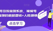 视频号引流变现系统,视频号引流变现的底层逻辑+人性规律