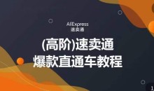 高阶速卖通直通车视频教程,教你正确解锁直通车,拒绝无效烧钱