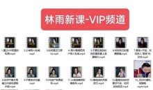 林雨新课VIP频道,玩赚私域/朋友圈/社群