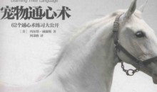 动物沟通 动物传心课程