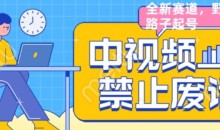 外面售价1599的中视频禁止废话系列视频制作教程,全新蓝海玩法