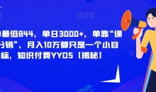 每单最低844,单日3000+,单靠“课程分销”,月入10万都只是一个小目标,知识付费YYDS