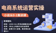 抖店精细化运营全案课,抖音小店从0-1集训营,电商系统运营实操课