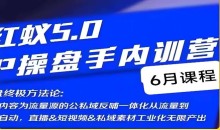 红蚁5.0IP操盘手内训营,IP操盘终极方法论