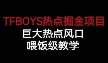 TFBOYS热点掘金项目,巨大热点风口,喂饭级教学