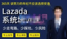 熊猫老师·2023年Lazada系统课程(跨境店+本土店),一套能解决实际问题的Lazada系统课程
