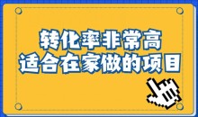 小红书虚拟电商项目:从小白到精英(视频课程+交付手册)