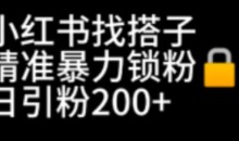 小红书找搭子暴力精准锁粉+引流日引200+精准粉