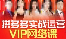 推易拼多多VIP全套直播课程,拼多多店铺实操玩法+实战玩法选款内功+直通车高阶等