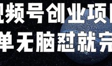 外面收费198的最新视频号连怼技术,条条原创,条条爆单