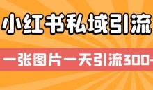 小红书私域引流,一张图片一天引流300+