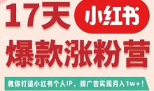 17天小红书爆款涨粉营(广告变现方向),教你打造小红书博主IP、接广告变现的