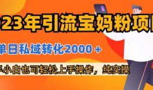 2023年引流宝妈粉项目,单日私域转化2000+,新手小白也可轻松上手操作,纯实操