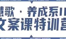 养成系IP文案课特训营,文案心法的天花板,打造养成系IP文案力,洞悉人性营销,让客户追着你收钱