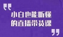大威本威·小白也能听懂的直播带货课,玩转直播带货,轻松出单