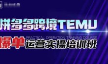 拼多多跨境TEMU爆单运营实操培训班,海外拼多多的选品、运营、爆单