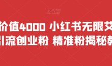 首发价值4000 小红书无限艾特暴力引流创业粉 精准粉揭秘教程