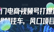 九门电商·视频号打爆短视频挂车,风口项目