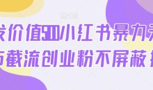 首发价值5100小红书暴力无限发布截流创业粉不屏蔽揭秘