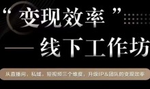 变现效率线下工作坊,从播直间、私域、视短频个三维度,升级IP和团队变现效率