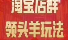 九栢米-淘宝店群领头羊玩法,教你整个淘宝店群领头羊玩法以及精细化/终极蓝海/尾销等内容